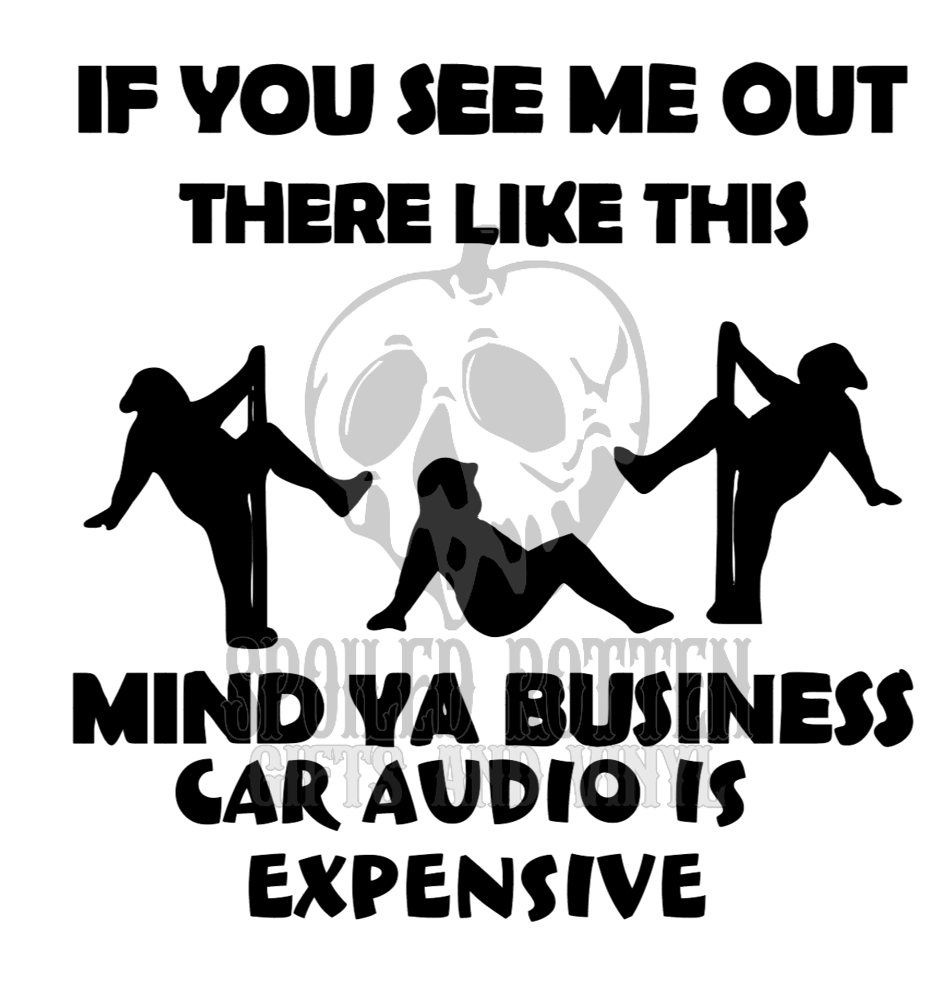 Car Audio is Expensive decal sticker