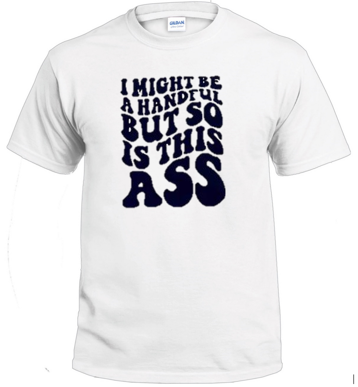 I Might Be a Handful Sassy t-shirt