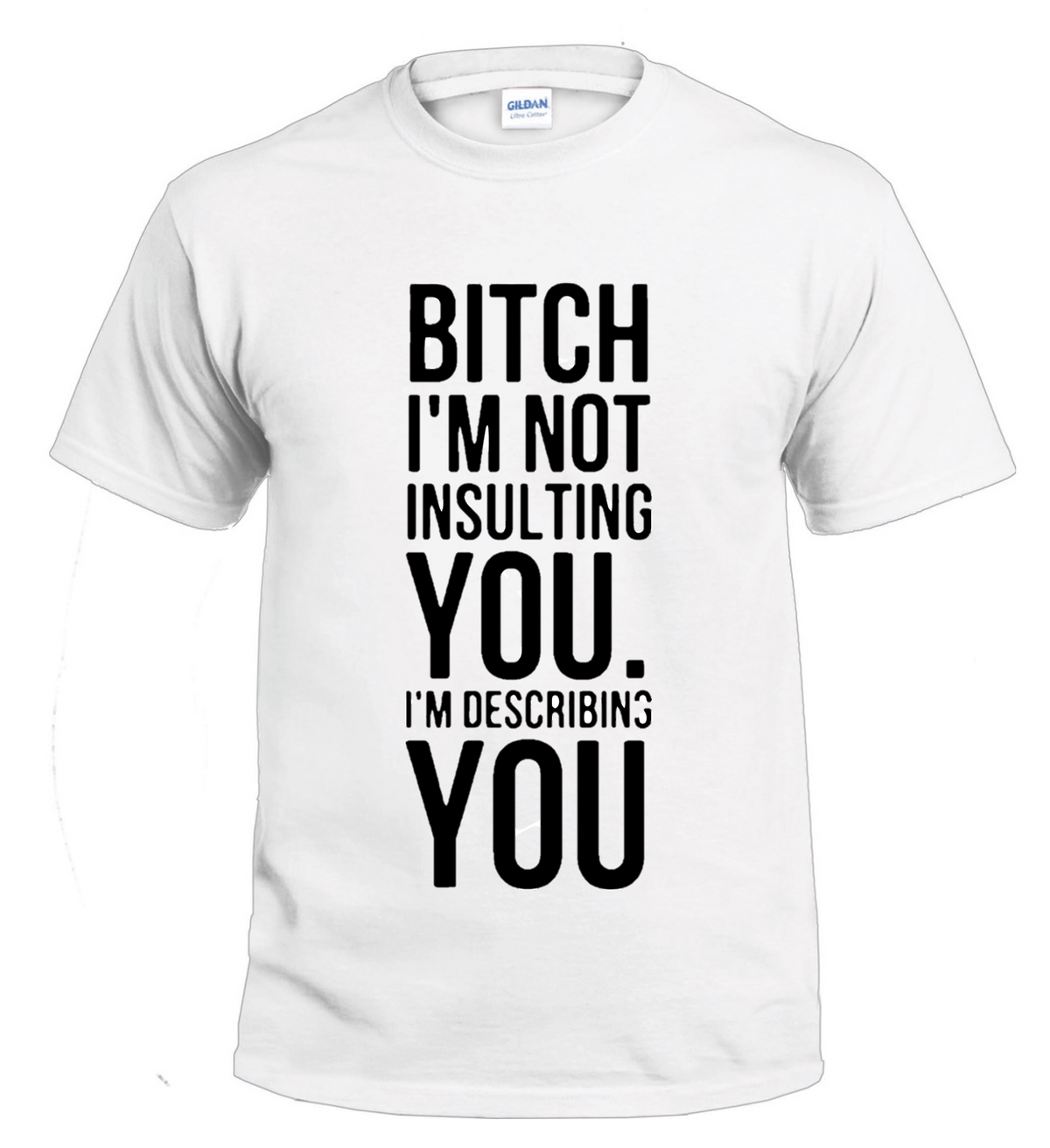 Bitch, I'm Not Insulting You Sassy t-shirt