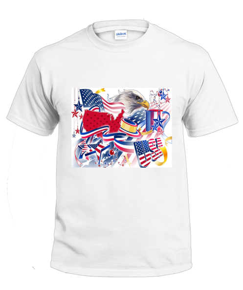 American Celebration t-shirt