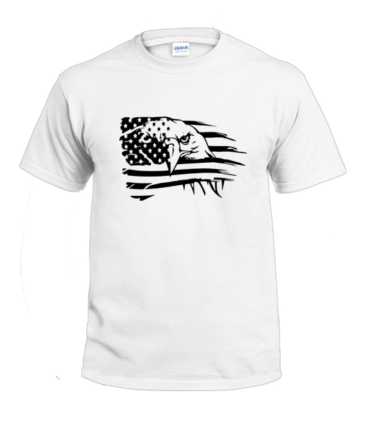 Eagle & American Flag (1) t-shirt